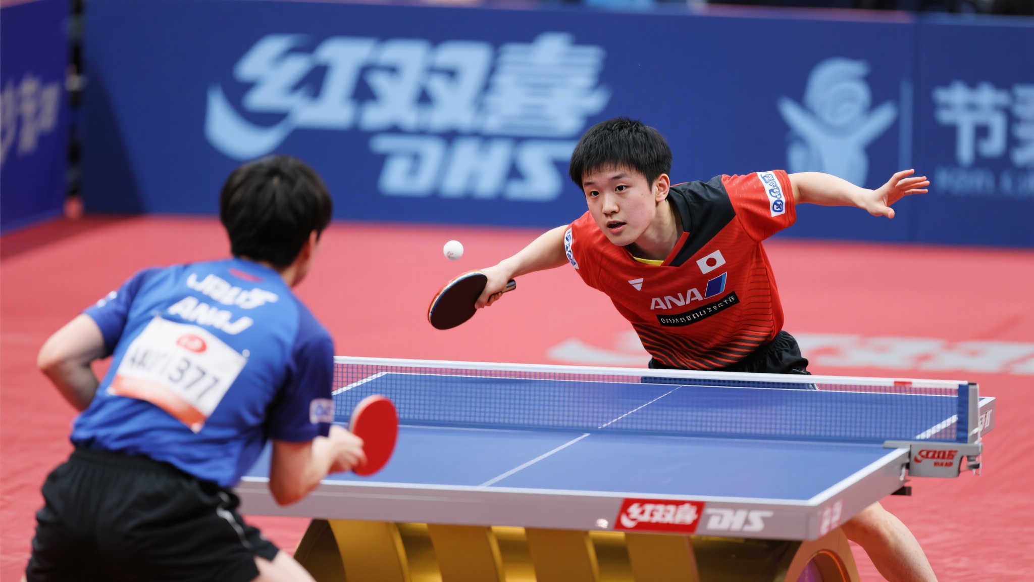 展注入了新 展注入了新